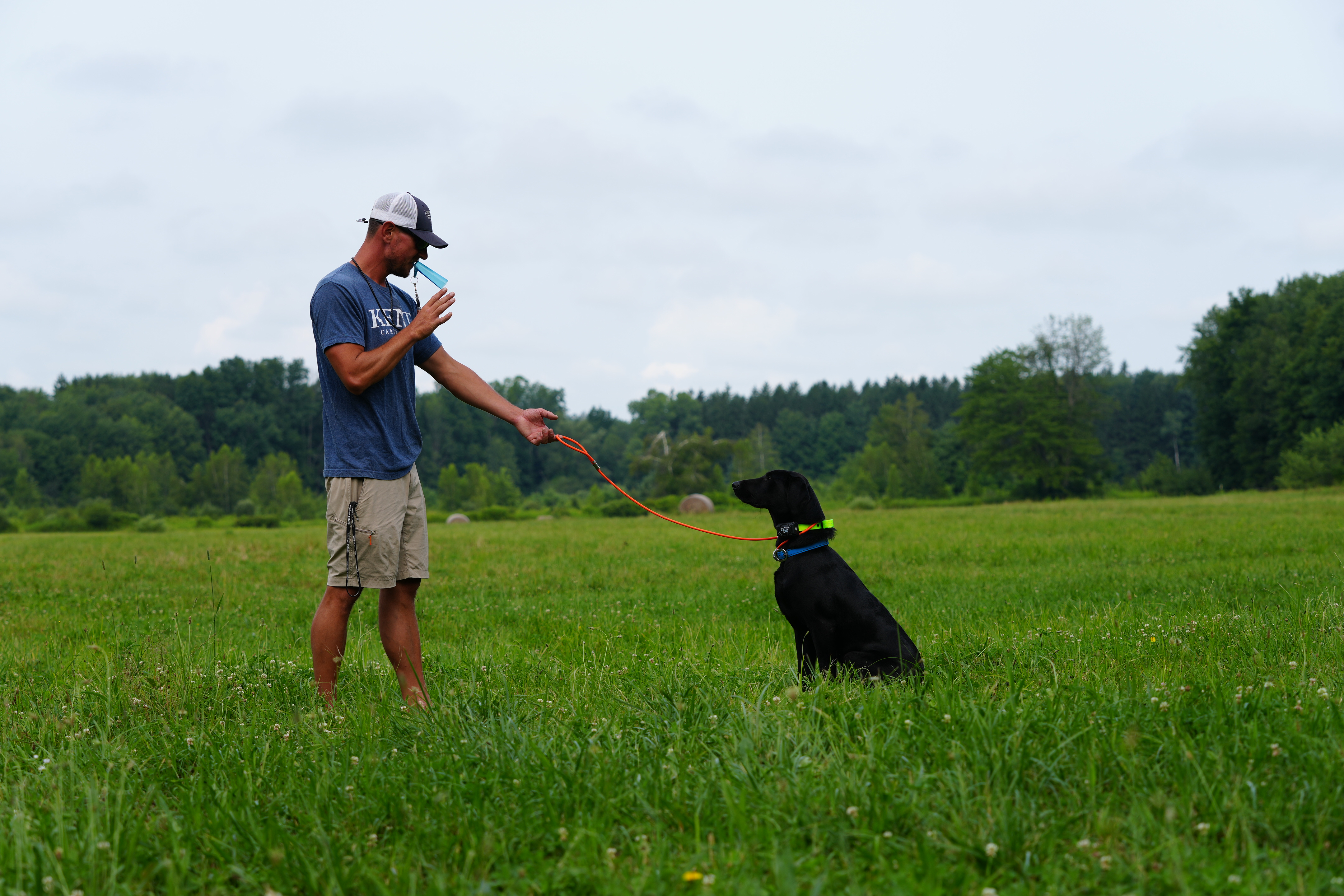 advanced retriever training